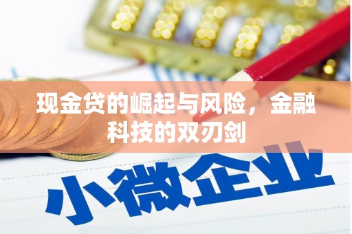 叶县现金贷的崛起与风险，金融科技的双刃剑
