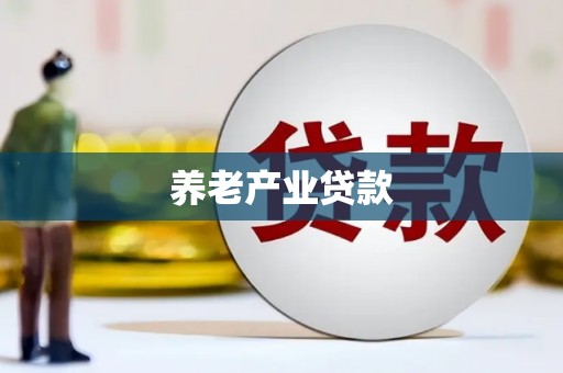 叶县养老产业贷款