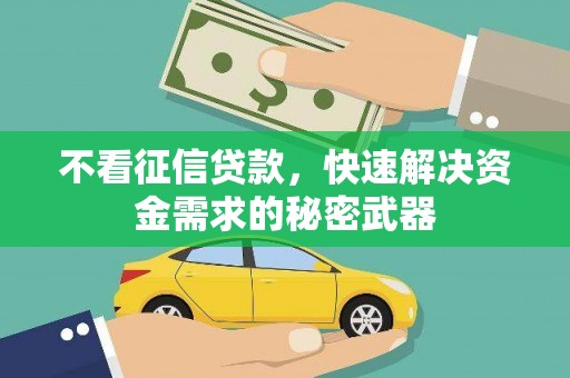 叶县不看征信贷款，快速解决资金需求的秘密武器