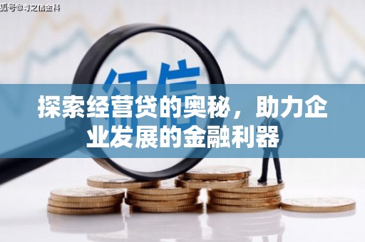 叶县探索经营贷的奥秘，助力企业发展的金融利器