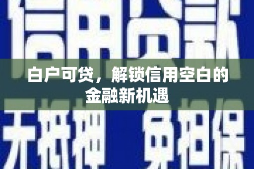叶县白户可贷，解锁信用空白的金融新机遇