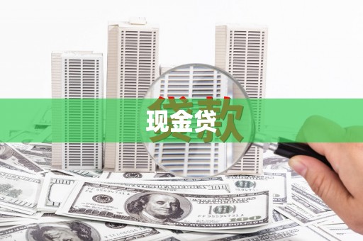 叶县现金贷