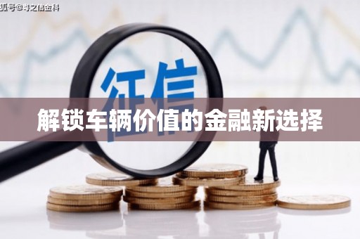 叶县解锁车辆价值的金融新选择