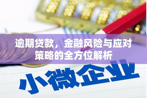 叶县逾期贷款，金融风险与应对策略的全方位解析