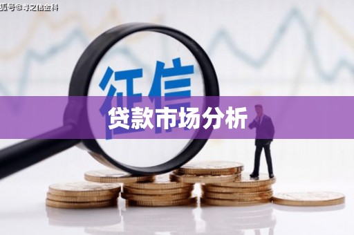 叶县贷款市场分析