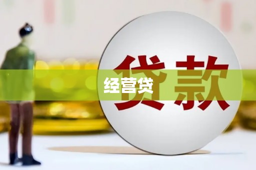 叶县经营贷