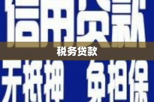 叶县税务贷款