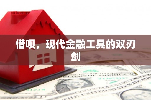 叶县借呗，现代金融工具的双刃剑