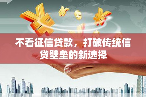 叶县不看征信贷款，打破传统信贷壁垒的新选择