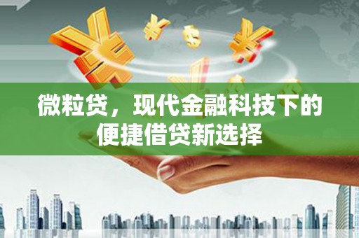 叶县微粒贷，现代金融科技下的便捷借贷新选择