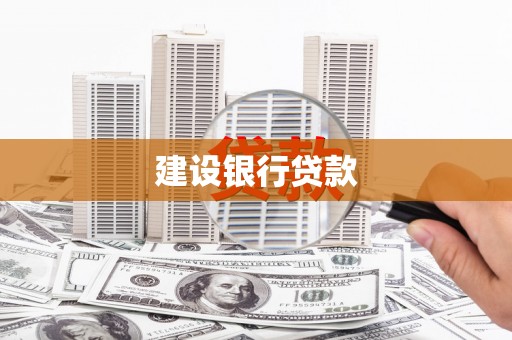 叶县建设银行贷款