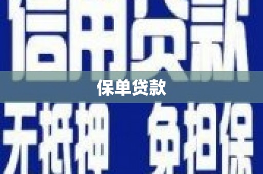 叶县保单贷款