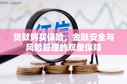 叶县贷款购买保险，金融安全与风险管理的双重保障