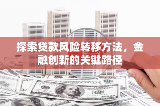 叶县探索贷款风险转移方法，金融创新的关键路径