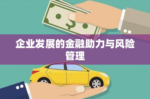 叶县企业发展的金融助力与风险管理