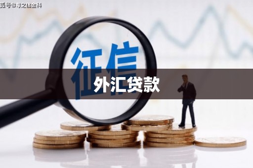 叶县外汇贷款
