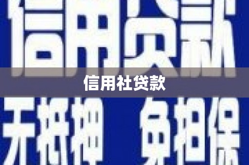 叶县信用社贷款