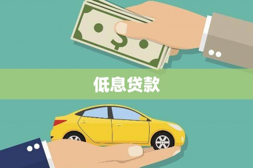 叶县低息贷款