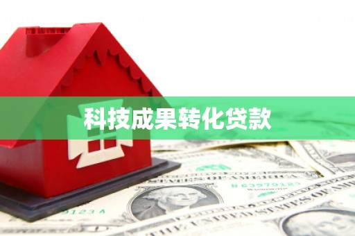 叶县科技成果转化贷款