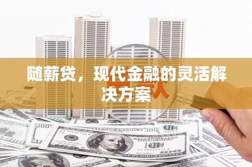 叶县随薪贷，现代金融的灵活解决方案