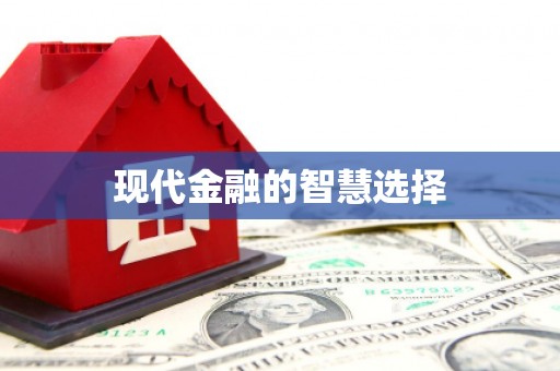 叶县现代金融的智慧选择