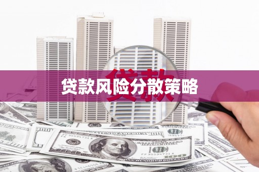 叶县贷款风险分散策略
