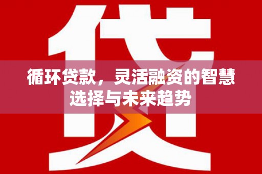 叶县循环贷款，灵活融资的智慧选择与未来趋势
