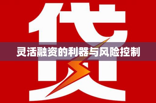 叶县灵活融资的利器与风险控制