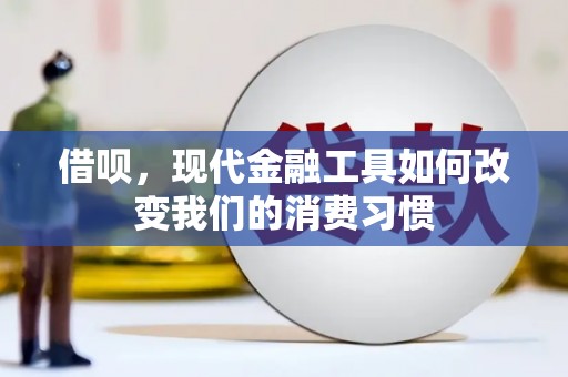 叶县借呗，现代金融工具如何改变我们的消费习惯