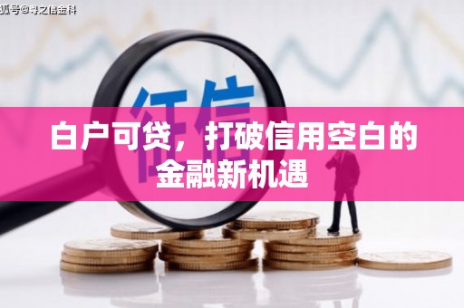 叶县白户可贷，打破信用空白的金融新机遇