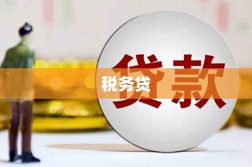 叶县税务贷