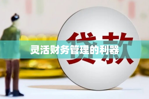 叶县灵活财务管理的利器