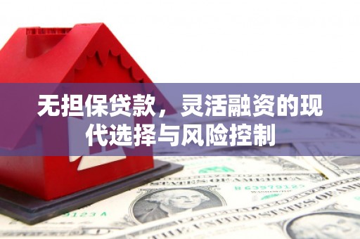 叶县无担保贷款，灵活融资的现代选择与风险控制