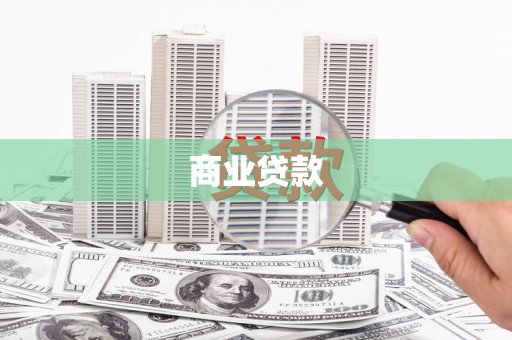 叶县商业贷款