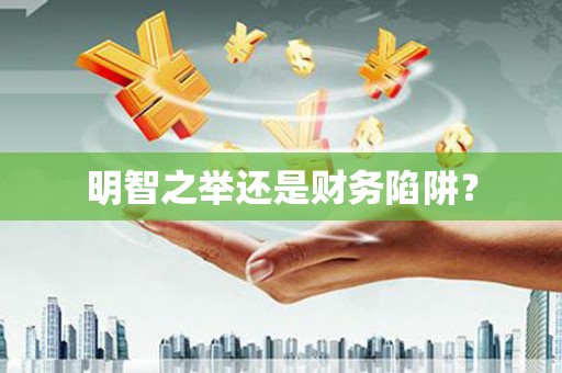 叶县明智之举还是财务陷阱？