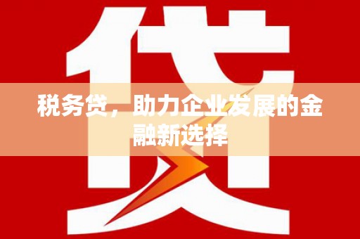 叶县税务贷，助力企业发展的金融新选择