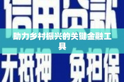叶县助力乡村振兴的关键金融工具