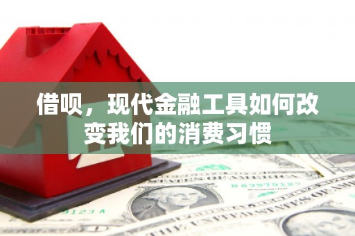 叶县借呗，现代金融工具如何改变我们的消费习惯