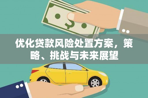 叶县优化贷款风险处置方案，策略、挑战与未来展望