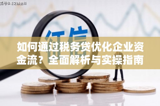 叶县如何通过税务贷优化企业资金流？全面解析与实操指南