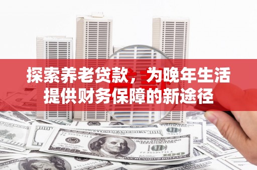 叶县探索养老贷款，为晚年生活提供财务保障的新途径