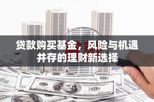 叶县贷款购买基金，风险与机遇并存的理财新选择