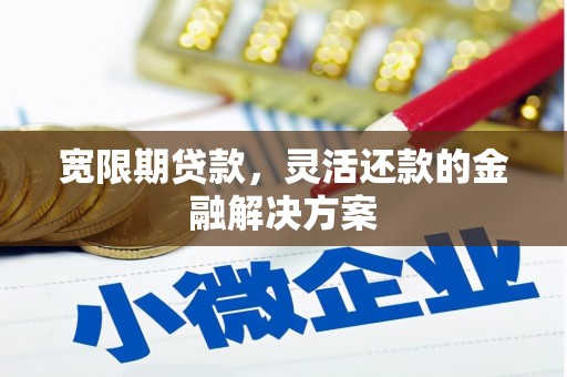 叶县宽限期贷款，灵活还款的金融解决方案