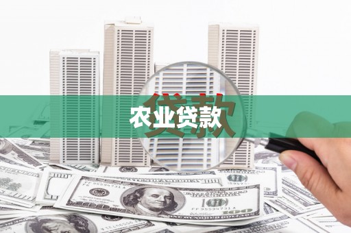 叶县农业贷款