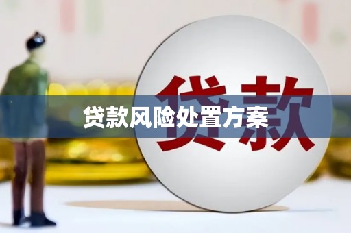 叶县贷款风险处置方案