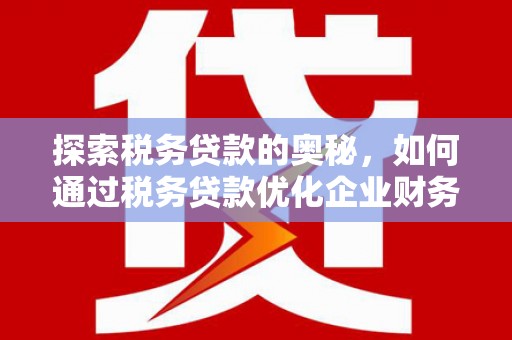 叶县探索税务贷款的奥秘，如何通过税务贷款优化企业财务