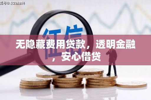 叶县无隐藏费用贷款，透明金融，安心借贷