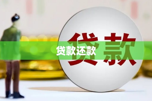 叶县贷款还款