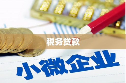 叶县税务贷款