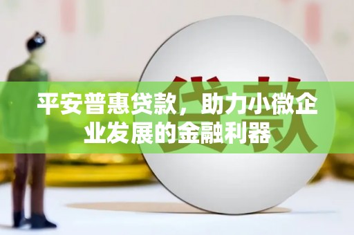 叶县平安普惠贷款，助力小微企业发展的金融利器